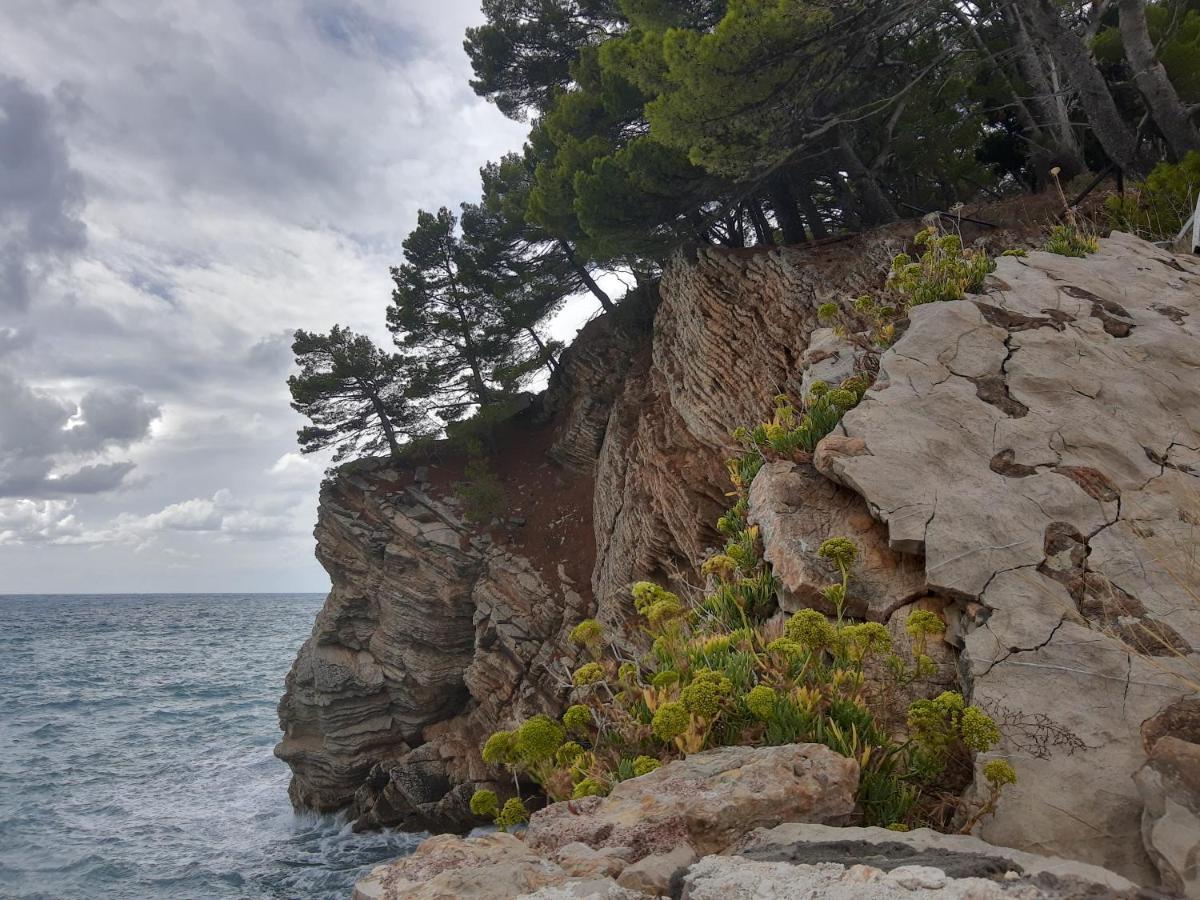 Sea-side Old Stone With A Private Garden Vila *