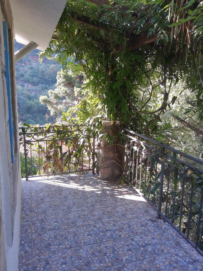 Sea-side Old Stone With A Private Garden Vila
