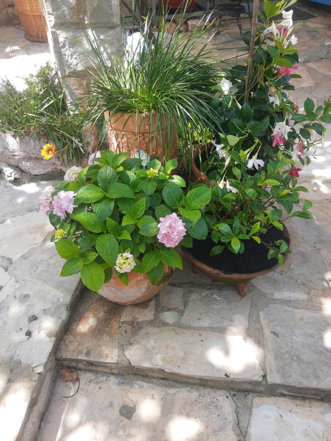 Sea-side Old Stone With A Private Garden *