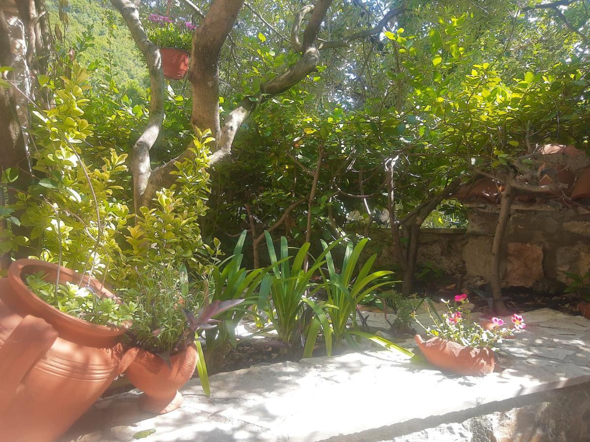 Sea-side Old Stone With A Private Garden Budva