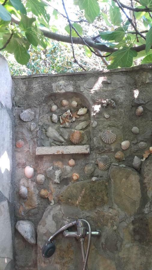 Sea-side Old Stone With A Private Garden Villa *